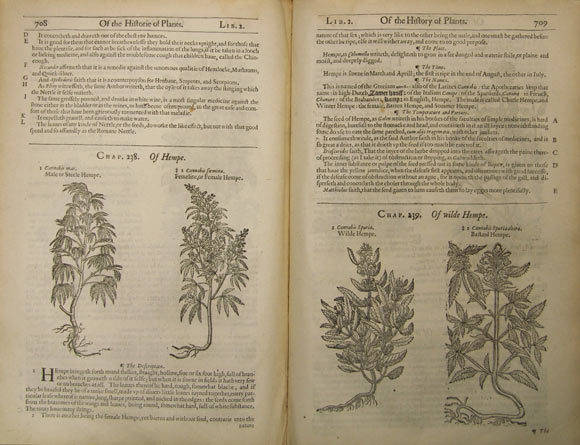 The Herball or Generall Historie of Plantes. 