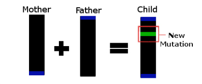 PH Genes