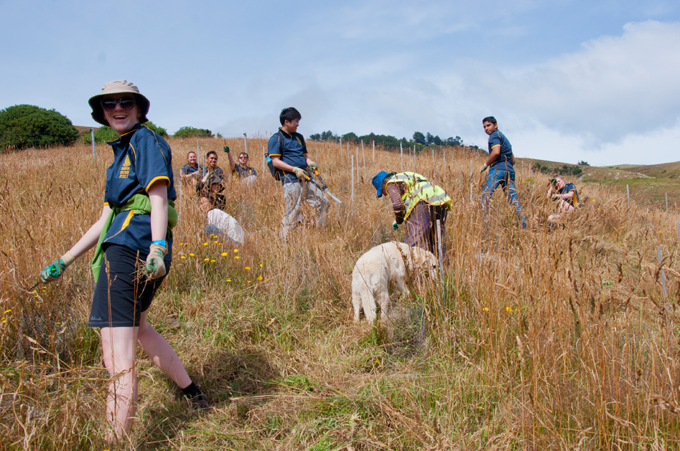 A Hayward Volunteer Group