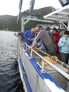 Alumni Marins Studies