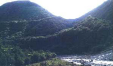 The photograph is looking south and shows high river terraces truncated by the Alpine Fault which runs down the gully on the right of the photo. The highest terrace is tentatively radiocarbon dated at 10,800 yr BP and is displaced vertically by 80 m, giving a dip-slip rate on the fault of c. 6.3 mm/yr.