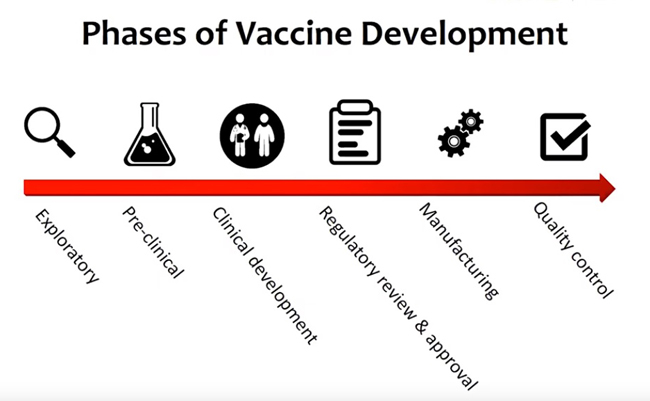 phases-of-vaccine-development-image