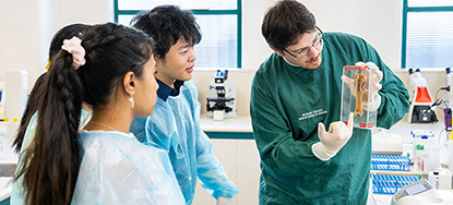 Teaching staff showing three students a specimen in a medical laboratory image