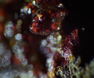 Hyalite opal lining the walls of a vesicle in a volcanic breccia clast from the Otago Peninsula.