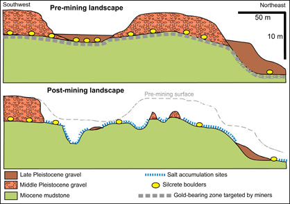 Cross sections through the Springvale site, showing the original gravel cover and topographic surface (top) and the present situation with the gold-bearing gravel removed and the mudstone exposed.