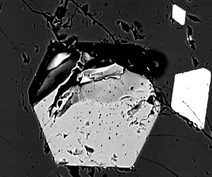 Feeling hungry? This might quench your apatite. Electron backscatter image of a euhedral apatite grain in Cr-diopside. The apatite contains minute fluid inclusions and has two spinel grains on its right