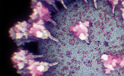 Link to Nanographics coronavirus picture