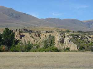 Pliocene gravels (brown) were derived from greywacke and semischist of the Kakanui Range (skyline) as it was uplifted along the Waihemo Fault (at base of steep slopes in background). The Pliocene gravels, which contain minor gold, have been tilted by on-going uplift along the fault. As the gravels were uplifted, gold was recycled into a thin veneer of younger gravels (dark with pale top, at top of outcrop). Historic miners have worked the gold accumulations at the base of the younger gravels, to leave a ledge at the boundary