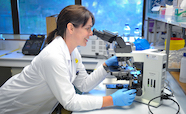 Researcher using microscope thumb