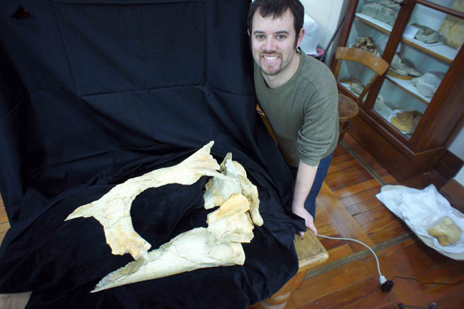 Holotype skull of Tohoraata raekohao with lead author Robert W. Boessenecker.