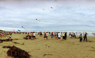 Panorama shot of the kite festival at the New Brighton Pier (2017)<br />Photo: Simran Maggo