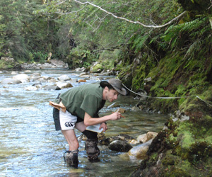 Jason Grieve logging the section through the Grebe mylonite zone in Jacquiery Steam, Fiordland.