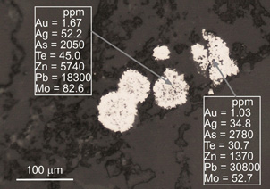 Microscopic view of clusters of minute pyrite grains (white, framboids) in sandstone at Fiddlers Flat. Laser ablation ICP-MS analyses of the framboidal clusters show that they contain from ~1 ppm gold and more than 2000 ppm arsenic. These framboids are also enriched in molybdenum.