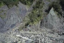 The photograph shows the youngest strand of the Alpine Fault in Hare Mare Creek, looking southwards; the light coloured zone at the top of the face of gravel is the hydrothermally altered basal cataclasite - here this is c. 3m thick and is overlain by a sequence of fractured mylonites. Beneath are steeply dipping fluvio-glacial gravels approximately 15-20,000 years old.
