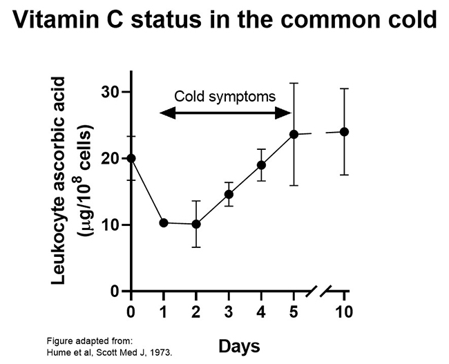 Vitamin C status in the common cold