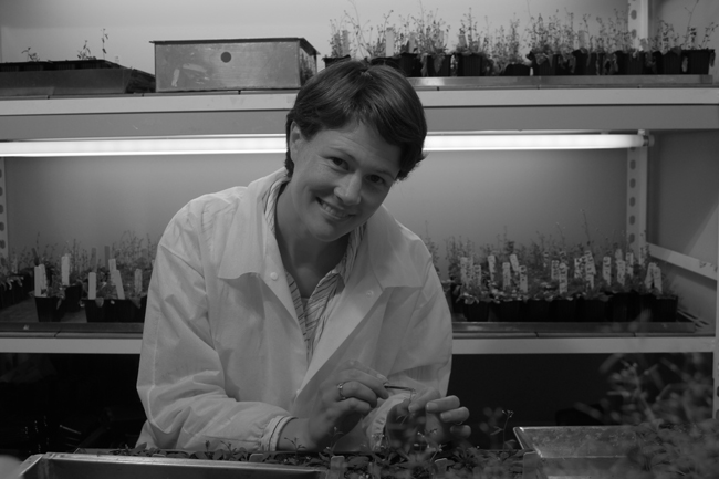 Lynette Brownfield black and white image
