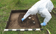 Removing samples to investigate ancient DNA tn