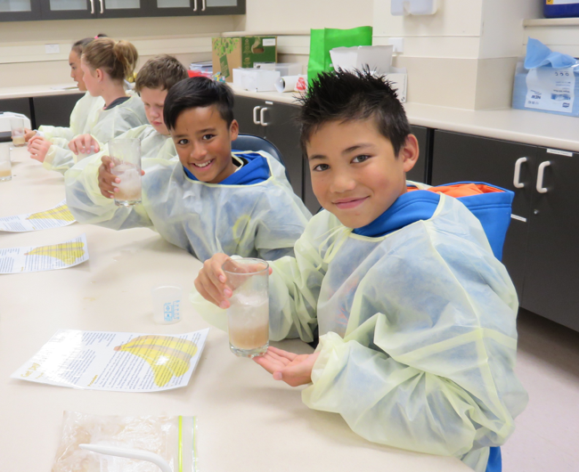 Pacific Island intermediate students prepare DNA from bananas in the Otago Department of Biochemistry.