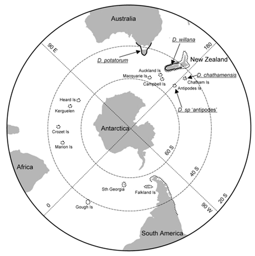 Fig.-4-Distribution-of-buoyant-Durvillaea-antarctica-(dotted-lines)-versus-non-buoyant-Durvillaea-species-(arrows;-thick-lines)