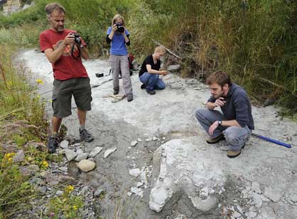 Site of an Early Miocene baleen whale, Otaio River, January 2012. From left to right: Philip Howe (S Canterbury Museum), Julie Brown (Ngai Tahu Rock Art Project), Nichole Moerhuis and Felix Marx (Department of Geology, University of Otago); Felix is close to the whale, with a limb element and part of the left mandible visible just below him.