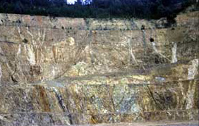 Martha Mine, Waihi