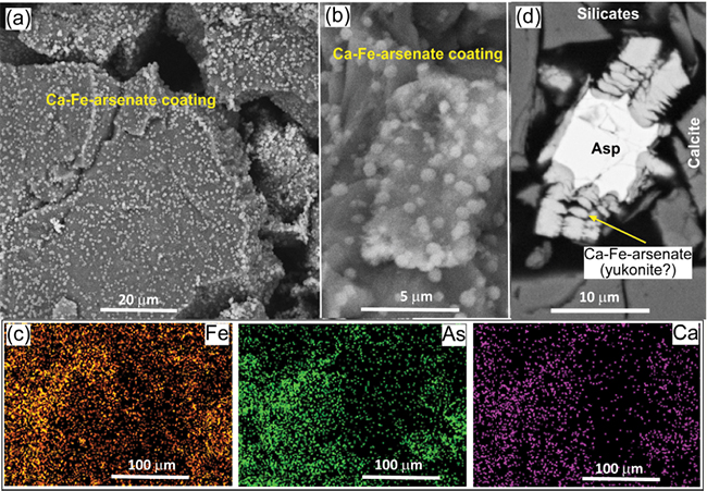 SEM images of Ca-Fe-arsenate coatings image