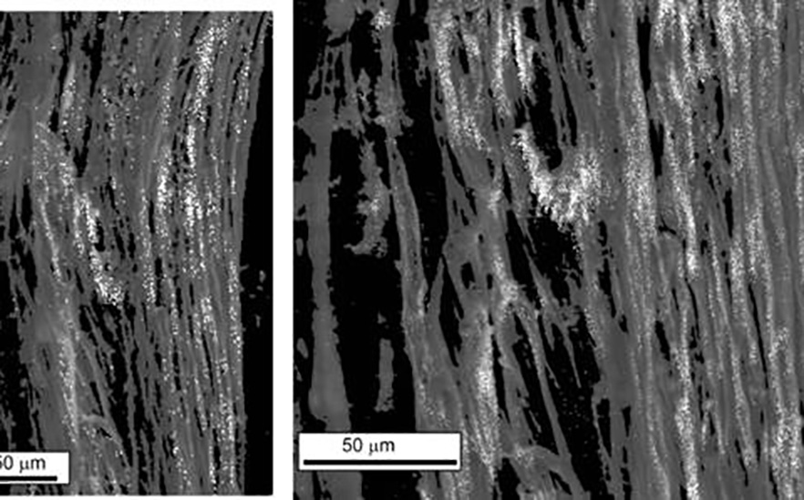 Fig81 Electron microprobe detection of extreme arsenic levels