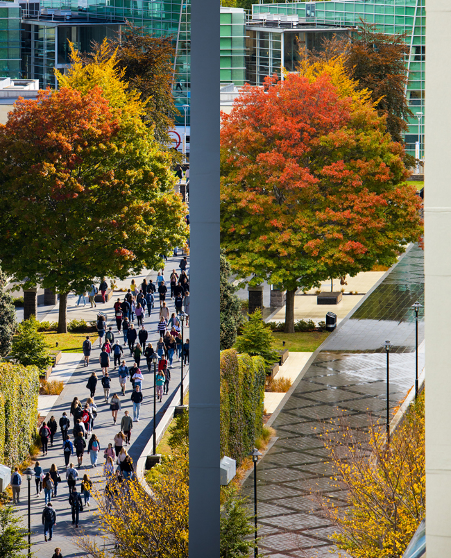 Campus-Before-and-After-Lockdown-Dave-Bull-image