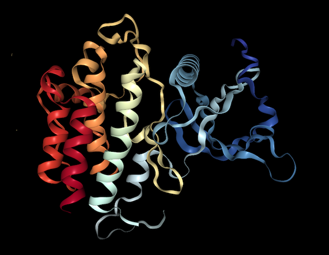 Part of the fibroblast growth factor receptor 3 protein.