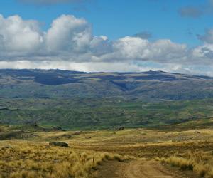 Looking east towards the Rock and Pillar Range from atop Rough Ridge.