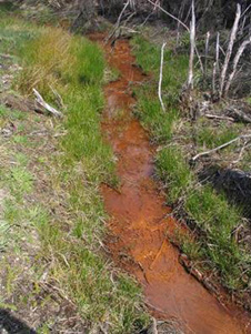 Precipitation of brown iron oxyhydroxide from acid waters, Wangaloa coal mine.