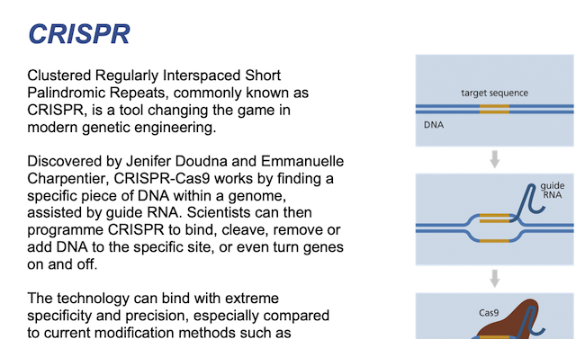 Image of part of handout including text and a diagram describing CRISPR gene editing