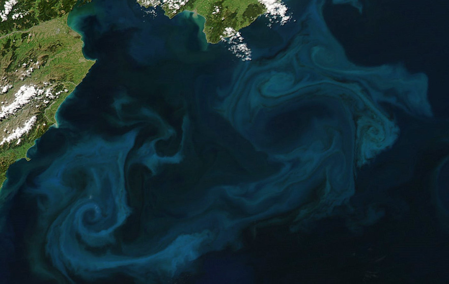 Aerial view of a Phytoplankton bloom in the ocean near New Zealand 2009 NASA image