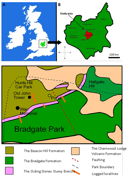 Fig. 1 (A) Location map of the study are Leicestershire with central England. (B) Location map of the study area within the Charnwood District, Leicestershire. (C) Simplified geological map of the north of Bradgate Park with logged sections highlighted (Modified from Ambrose et al. 2007).