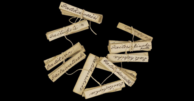 Several aged scrolls of paper bearing written te reo Māori, tied together with string image
