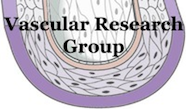 Vascular Research Group Logo