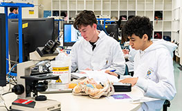 Two students working in a lab at a desk