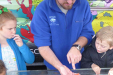 pop-up-aquarium-small-image
