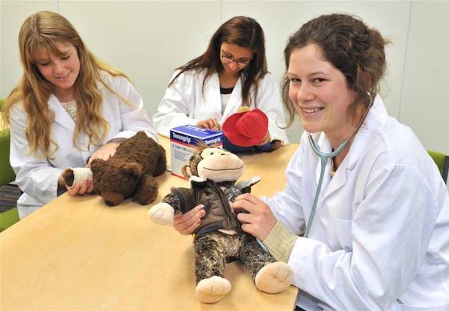 Teddy Doctors at Teddy Bear Hospital