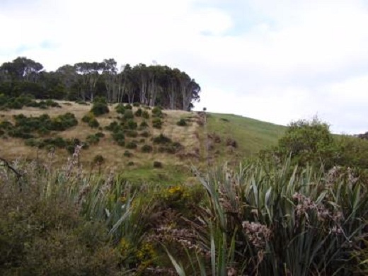 The Maori freehold land and general land divide