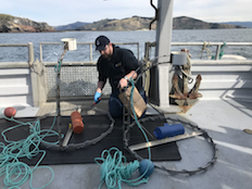 Researcher on vessel preparing to monitor shark activity image