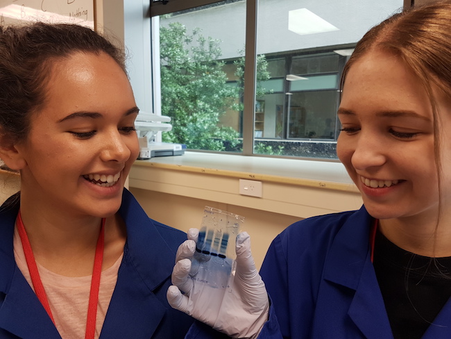 Two Hands-on at Otago students smiling at a protein electrophoresis gel they have just produced.