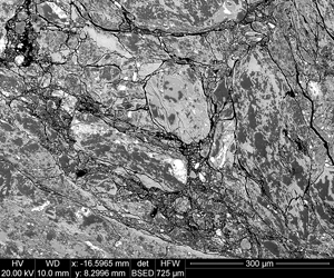 Backscatter image of low friction Alpine Fault gouge from the southern Alpine Fault at 200x. Dark shades are quartz, midtones are calcite, and most light shades are sphene.