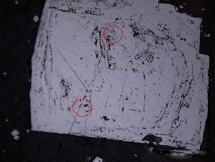 Microscopic view of a pyrite grain (1 mm across) from Macraes gold mine, with small inclusions of gold (in red circles). Dark lines within the grain represent small mineral inclusions trapped at different stages of pyrite growth. The grain has grown with broadly concentric zones, with the final outer crystal shape somewhat different from earlier stages.