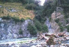 At Hokuri Creek on the side of L. McKerrow, the Alpine Fault is marked by a vertical zone of soft clay gouge, seen here in the centre of the photo cutting through young gravel deposits. Detailed work has shown the last two displacements each offset river channels by about 8m, the last event occurring in the last 370 years