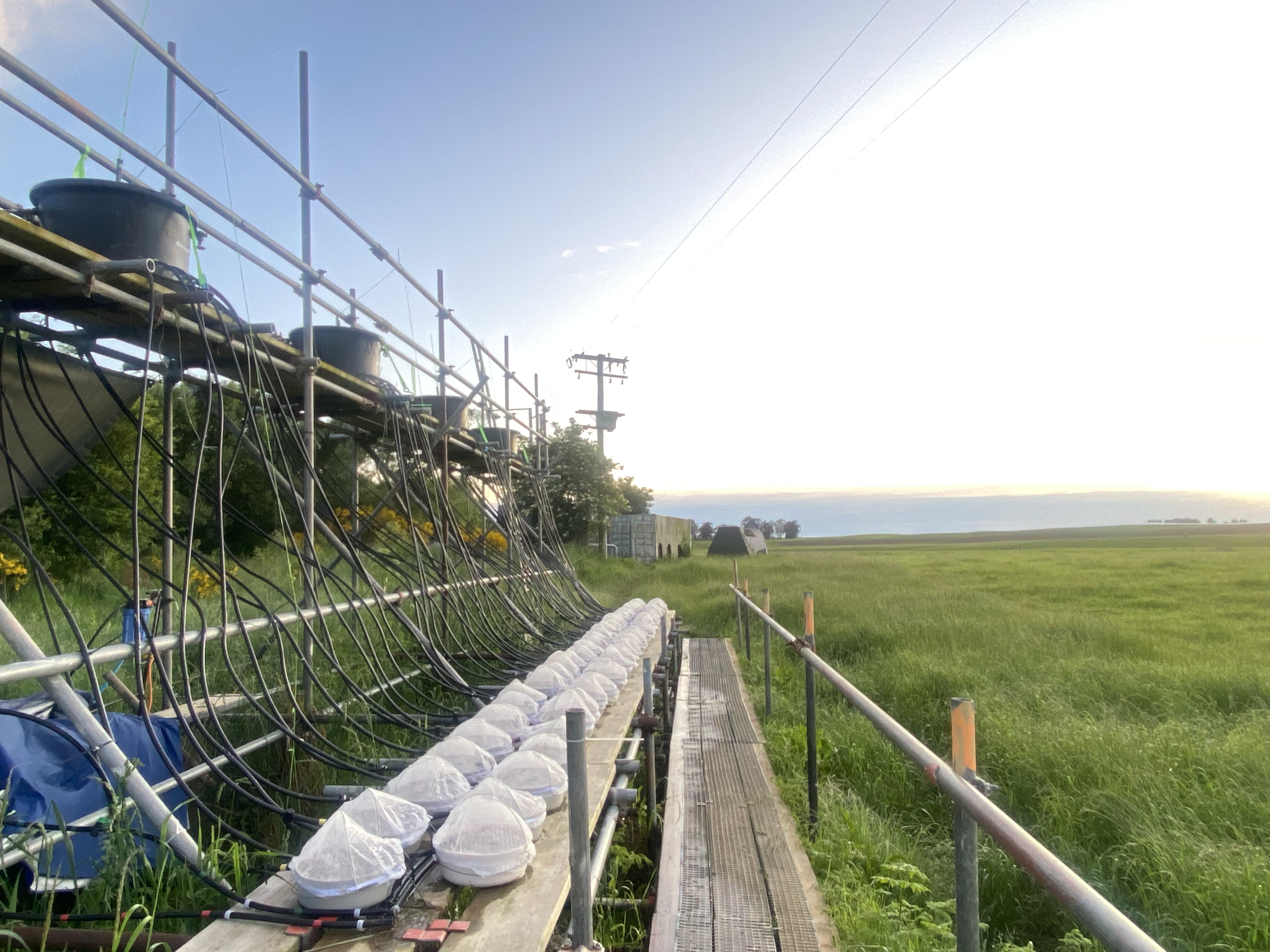 some planks of wood on top of some scaffolding, with pipes connecting tanks to small white containers sitting on top of the planks