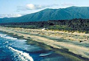 Haast Beach.