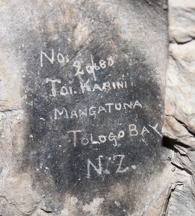 ToiKarini