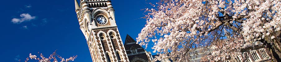 Blossom outside Clocktower