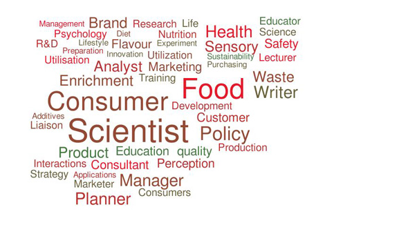 Consumer Food Scientist word cloud